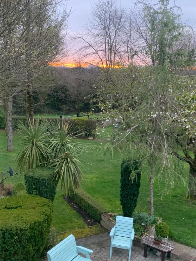 Villa The Mews Newbridge  Esterno foto